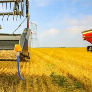 Process of harvesting the crop