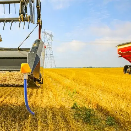 Process of harvesting the crop