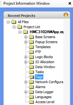 Project Information Window - Tags folder