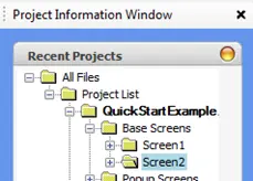 Project Information Window: Screen 2