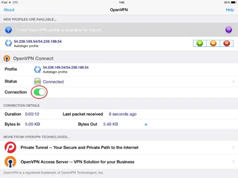 Initiate a connection after creating a login profile within the OpenVPN App