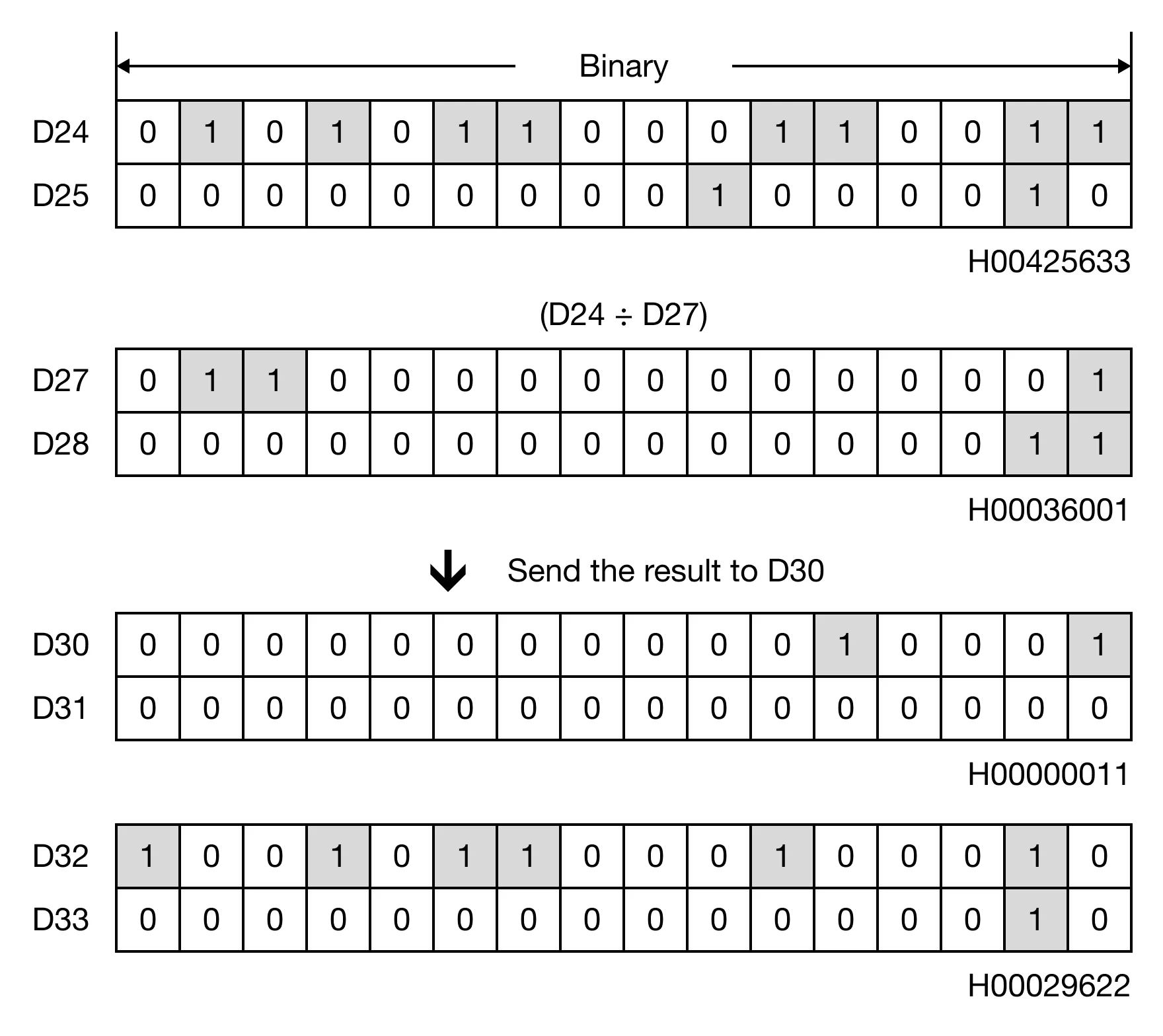 Memory Monitor Memory Monitor for MapleLogic DBDIV/DBDIVP instruction.
