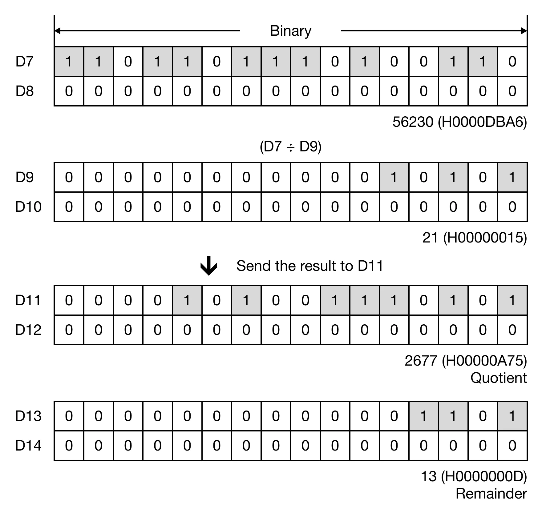 Memory Monitor for MapleLogic DDIV/DDIVP instruction.