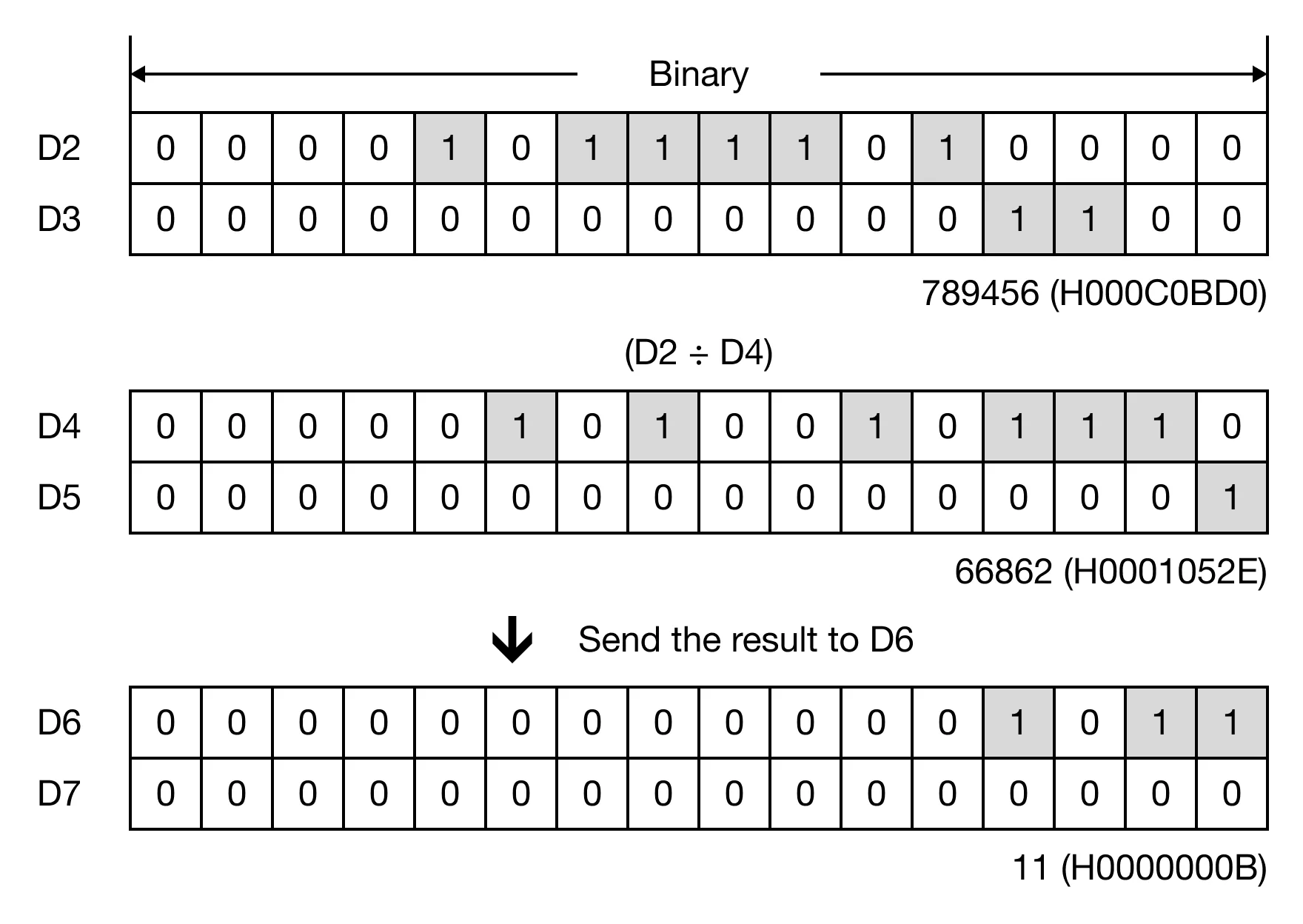 Memory Monitor for MapleLogic DWDIV/DWDIVP instruction.