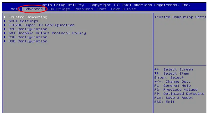 BIOS Setup Utility screen with the Advanced tab selected, showing system configuration options including IT8786 Super IO Configuration, CPU Configuration, and USB Configuration. A red oval highlights the Advanced tab.