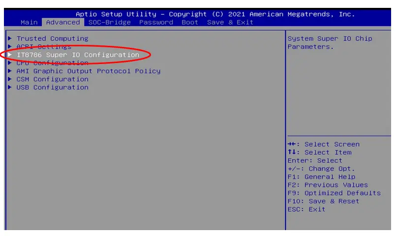 BIOS Setup Utility screen with IT8786 Super IO Configuration highlighted under the Advanced tab. A red oval identifies the selected menu option.