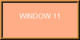 Example popup window labeled "WINDOW 11" displayed without a title bar, illustrating a fixed-position popup that cannot be dragged.